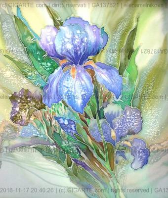 iris