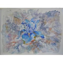 fiori