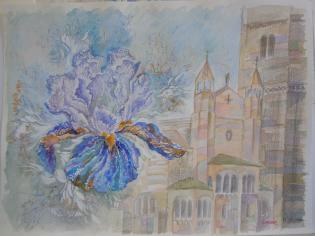 iris-e-duomo-di-modena