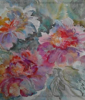 peonie-giapponesi
