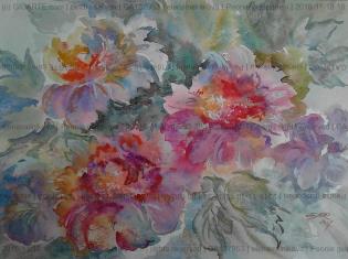 peonie-giapponesi