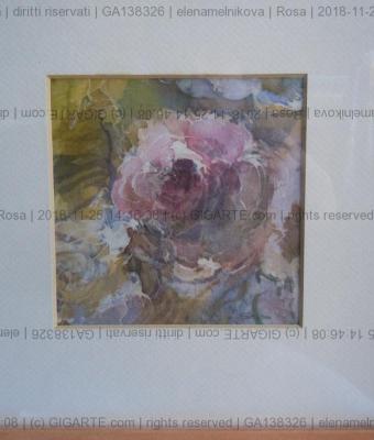 rosa