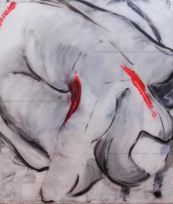 anima-ferita-4