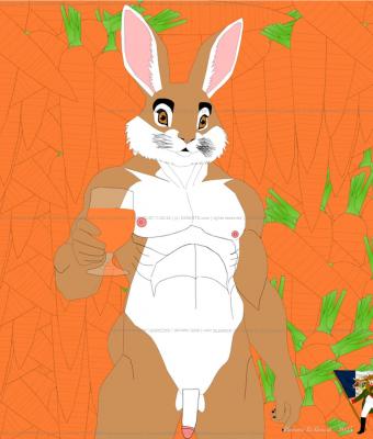 domestic-rabbit-an-artistic-a
