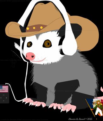 opossum-listening-to-country