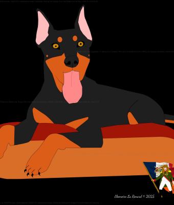 doberman-sticking-his-tongue-o