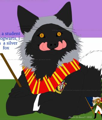 silver-foxes-like-harry-potter