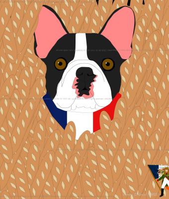 bouledogue-franais-immerg