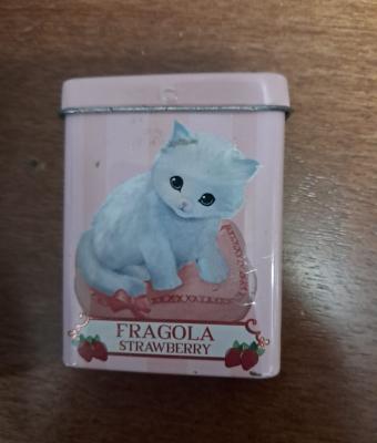 cover-with-kitty-with-strawber