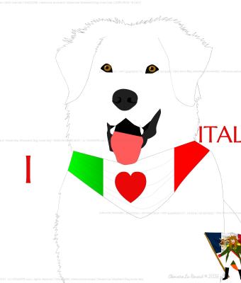 maremma-shepherd-dog-loves-ita