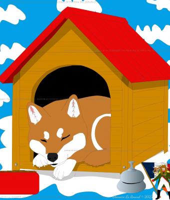 the-dream-of-the-shiba-inu