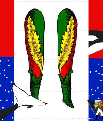 orca-con-coppia-di-bastoni-con
