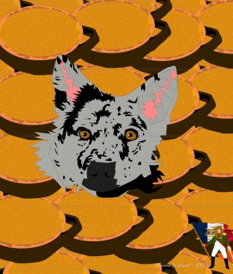 mudi-dog-breed-dipped-in-bean