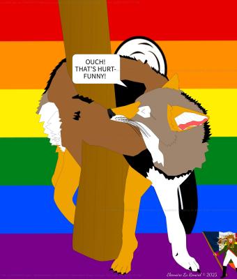 coyote-two-spirit-plays-with-h