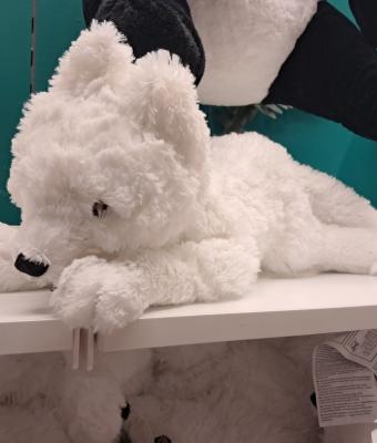 arctic-fox-plush