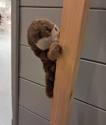 otter-cub-plush