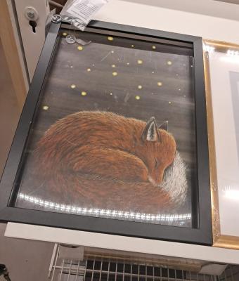 fox-paint-with-night-and-star
