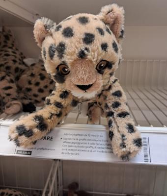 cheetah-cub-plush