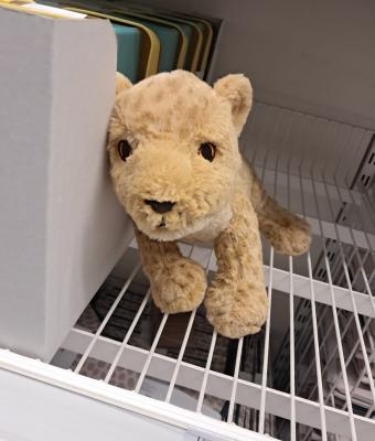 lion-cub-plush