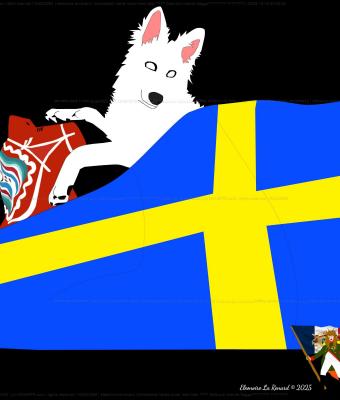 schweizisk-herde-sover-med-h