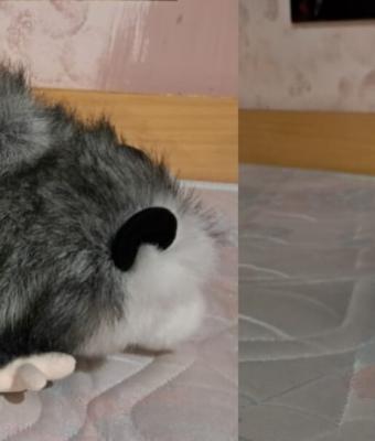 peluche-opossum