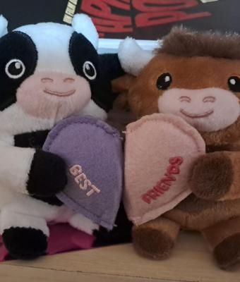 magnetic-friendship-keychains