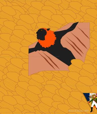 flying-fox-immersed-in-the-mad