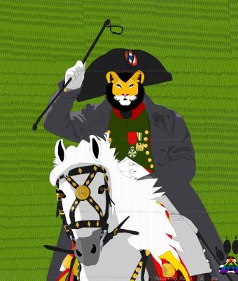 napoleone-cavalca-il