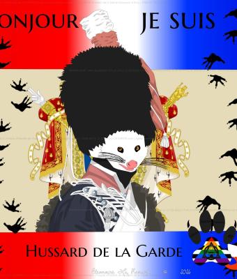 insigne-d-identit-de-hussard