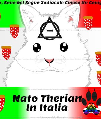 distintivo-d-identit-conigli