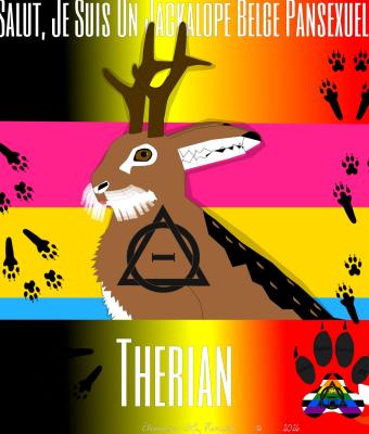 insigne-d-identification-belge