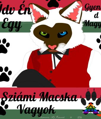 szemlyazonost-jelvny-g