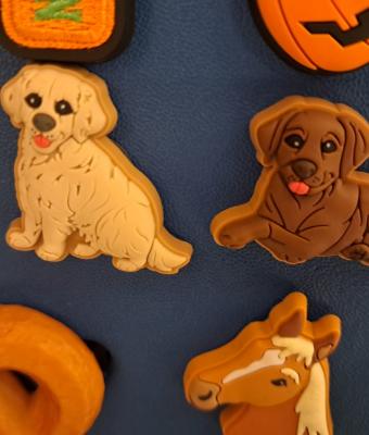 animal-and-snack-magnet-set