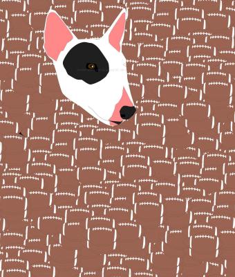 bull-terrier-immersed-in-rugby