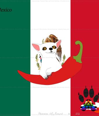 white-chiuaua-animals-nationa