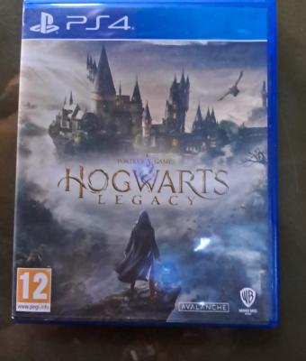 hogwarts-legacy-videogame-of-t