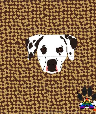 dalmatian-immersed-in-ch