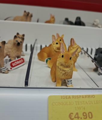 figurine-schleich-animal-lio