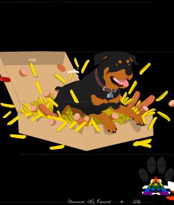 rottweiler-jum