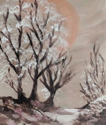 passeggiata-invernale