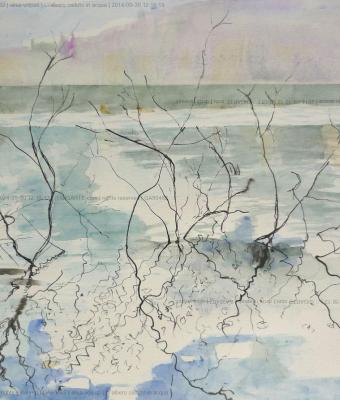 l-albero-caduto-in-acqua