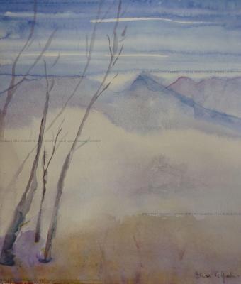 nebbia
