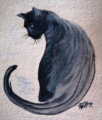 il-gatto