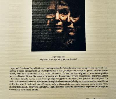 riconoscimento-internazionale-arti-visive-giotto