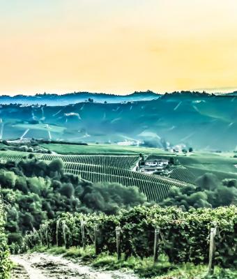 langhe-valley