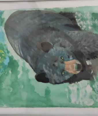 l-orso