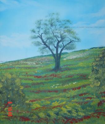 collina-fiorita