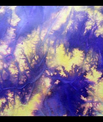 colori-in-movimento-5