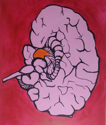 the-big-pink-brain