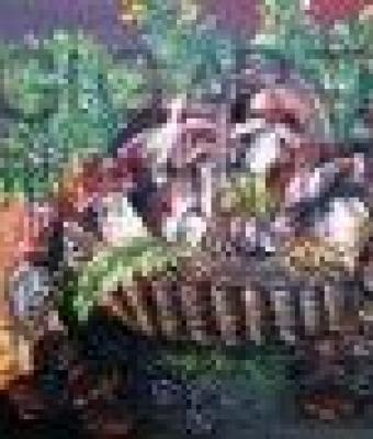 natura-morta-con-funghi